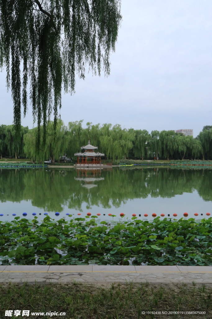 陶然亭风景