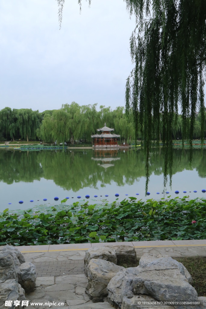 陶然亭风景