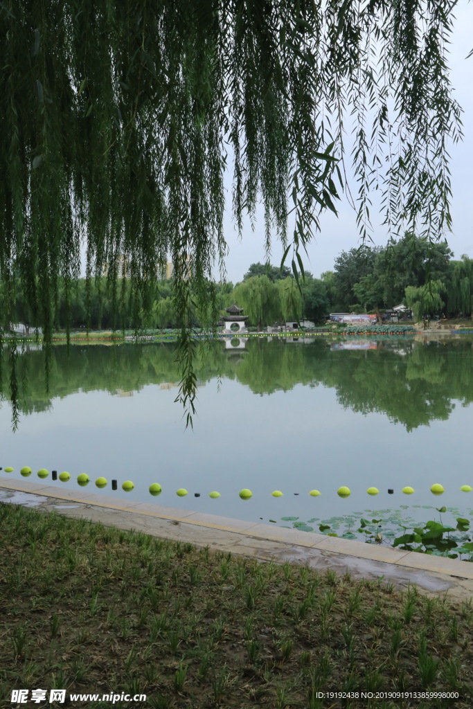 陶然亭风景