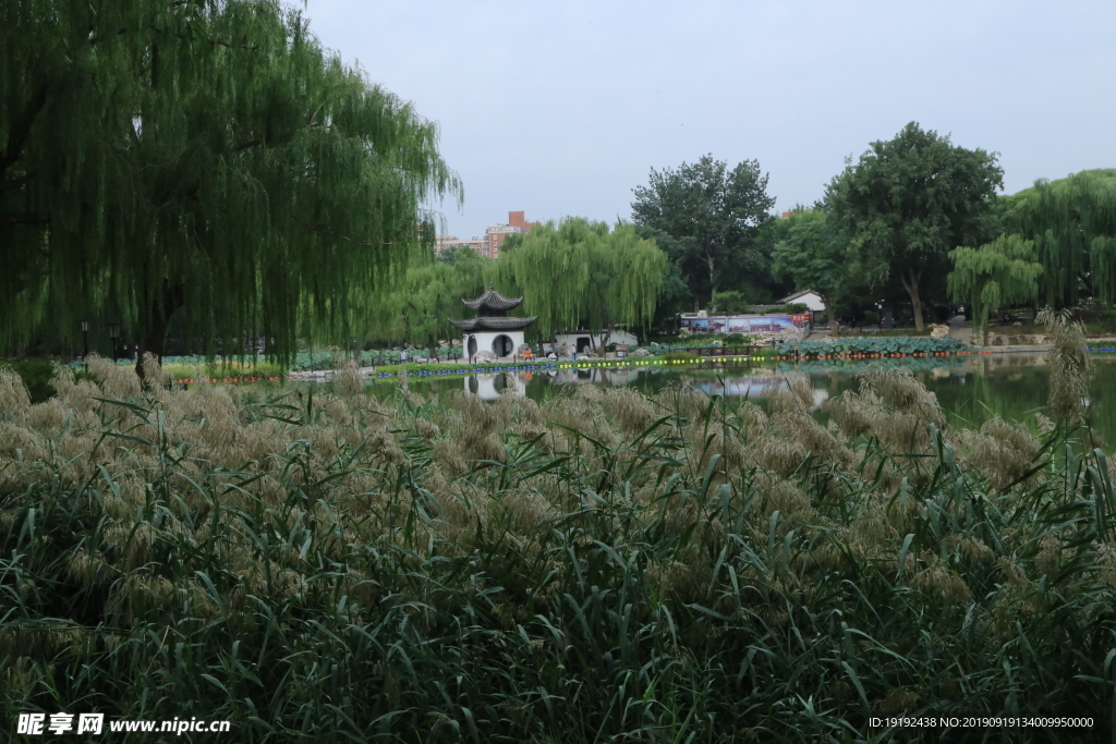 陶然亭风景