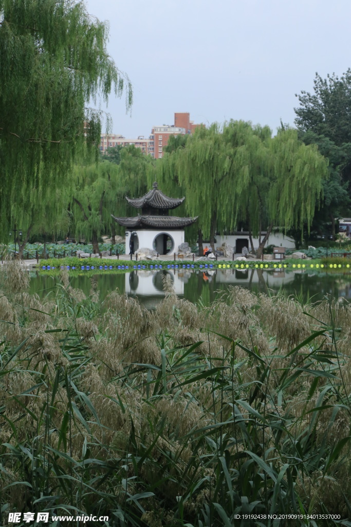 陶然亭风景