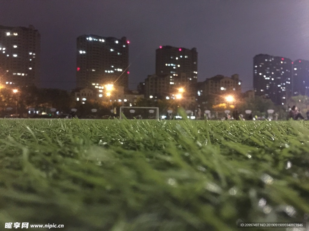 夜晚草坪