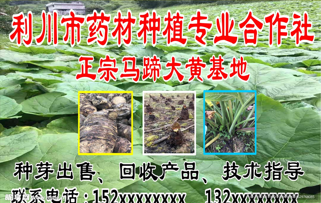 合作社广告
