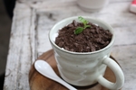 山茶