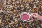 茶