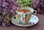 茶