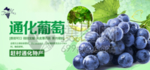 葡萄
