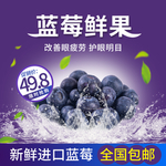 蓝莓主图