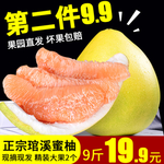 柚子主图