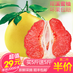 柚子主图