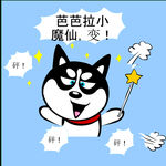 哈士奇