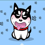 哈士奇