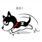 哈士奇