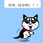 哈士奇