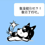 哈士奇