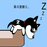 哈士奇