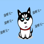 哈士奇