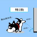 哈士奇