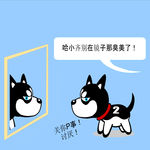 哈士奇