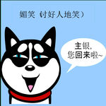 哈士奇