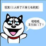 哈士奇