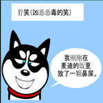 哈士奇