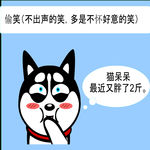 哈士奇