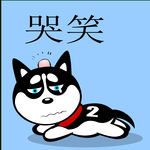 哈士奇
