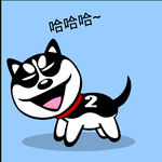 哈士奇