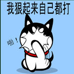 哈士奇