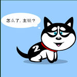 哈士奇