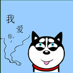 哈士奇