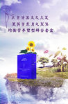 美赋丽人
