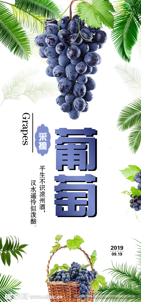 葡萄