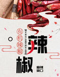 辣椒海报