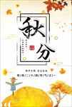 秋分
