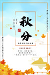 秋分