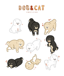 宠物猫狗插图