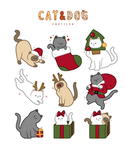 宠物猫狗插图