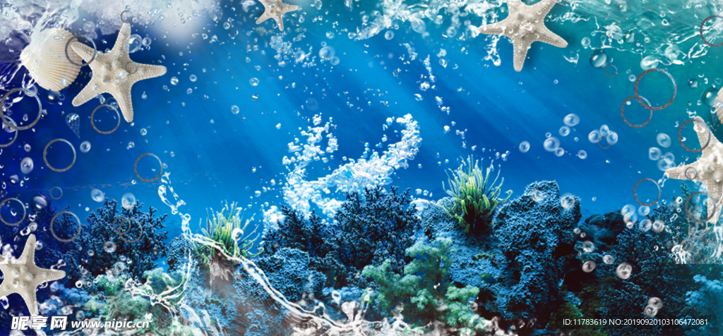 海洋海星海底