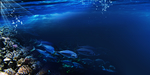 海洋海底世界