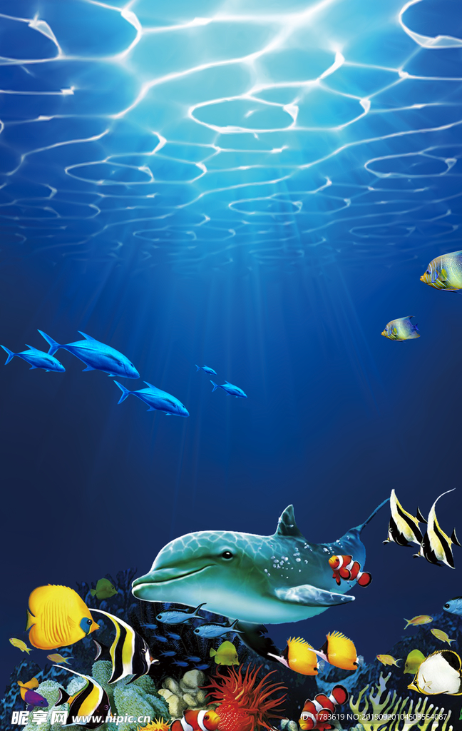 海洋海底海豚