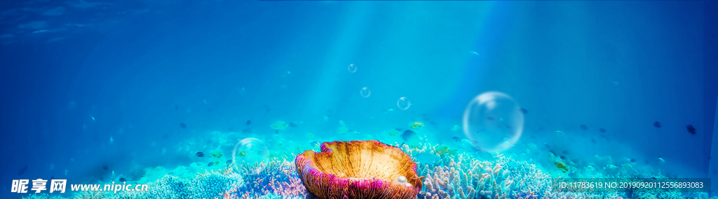 海底 珊瑚 海洋 大海 水族馆