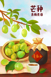 芒种海报