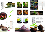 茶