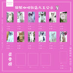 猫咪公示