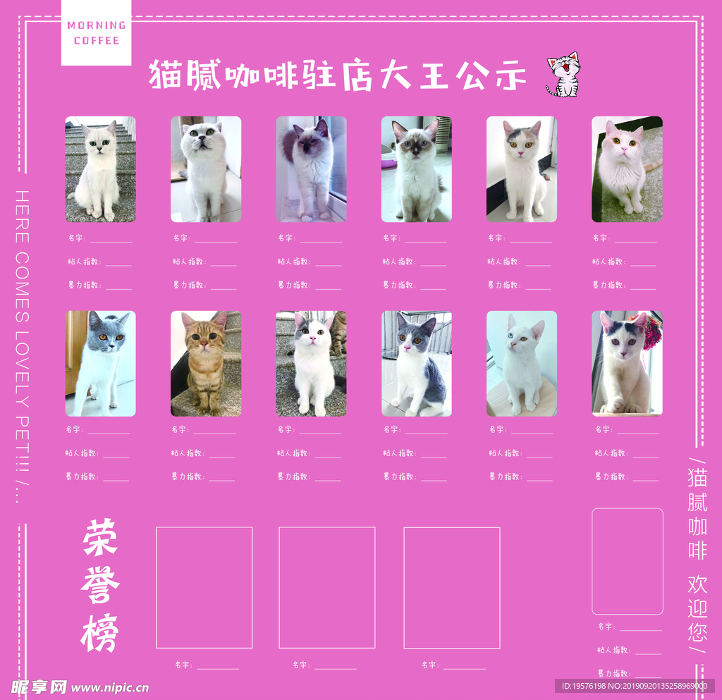 猫咪公示