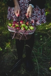 苹果