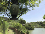 湖岸
