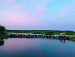湖景